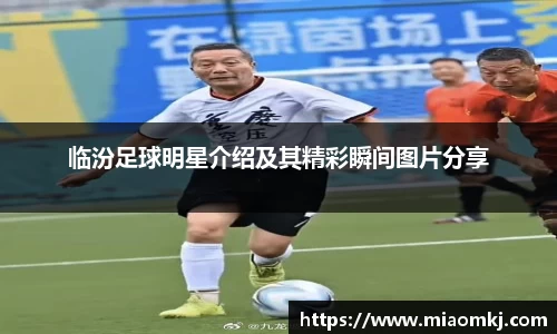 临汾足球明星介绍及其精彩瞬间图片分享
